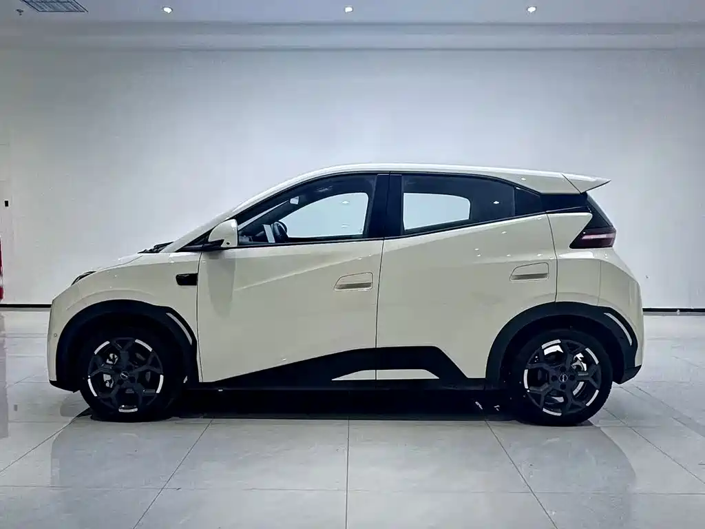 BYD Seagull 2025