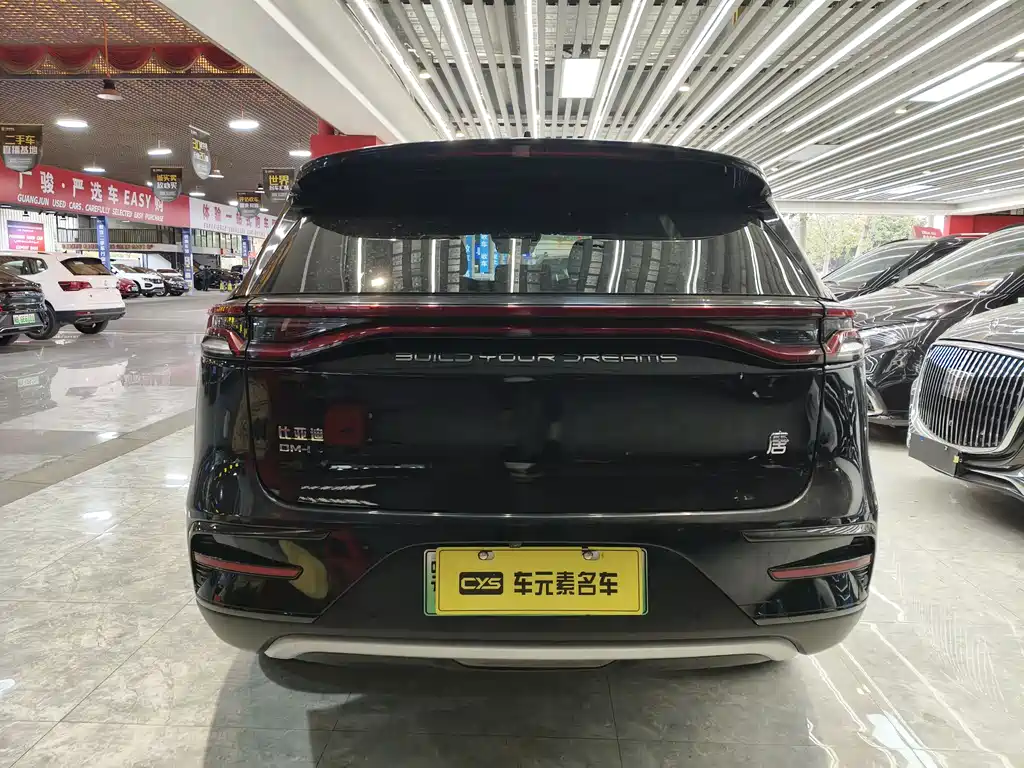 BYD Tang New Energy 2022 — фото 4