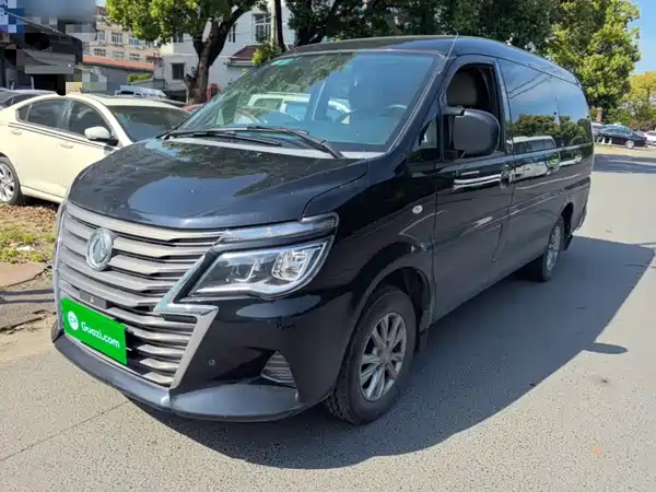 Dongfeng Lingzhi 2021