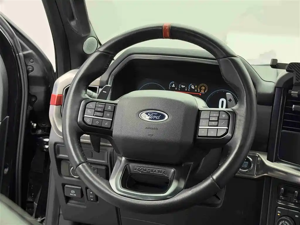 Ford F-150 Raptor 2024 — фото 12