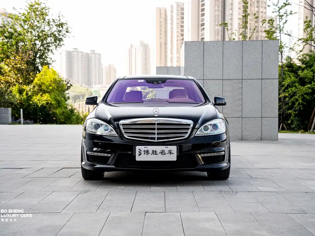Mercedes-Benz S-Class AMG 2010 — фото 2