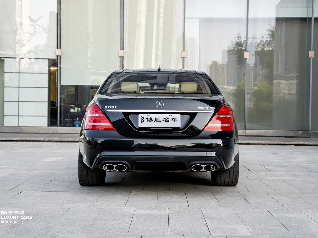 Mercedes-Benz S-Class AMG 2010 — фото 6
