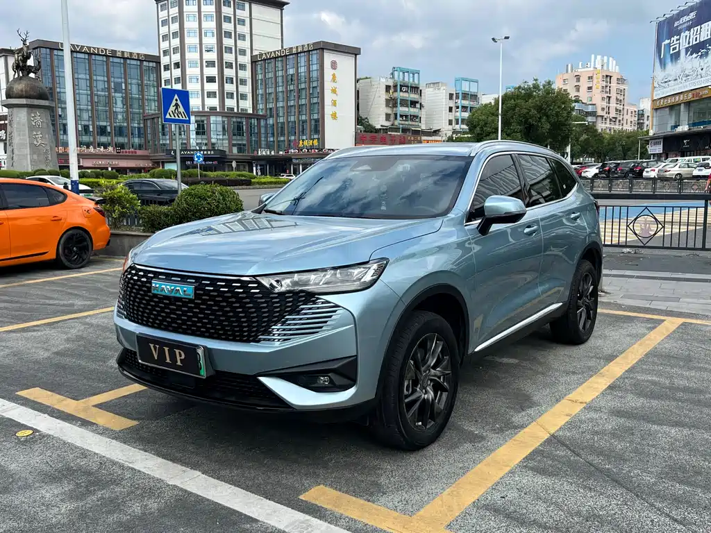 Haval H6 New Energy 2023 — фото 1