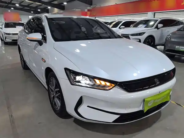BYD Qin PLUS 2024