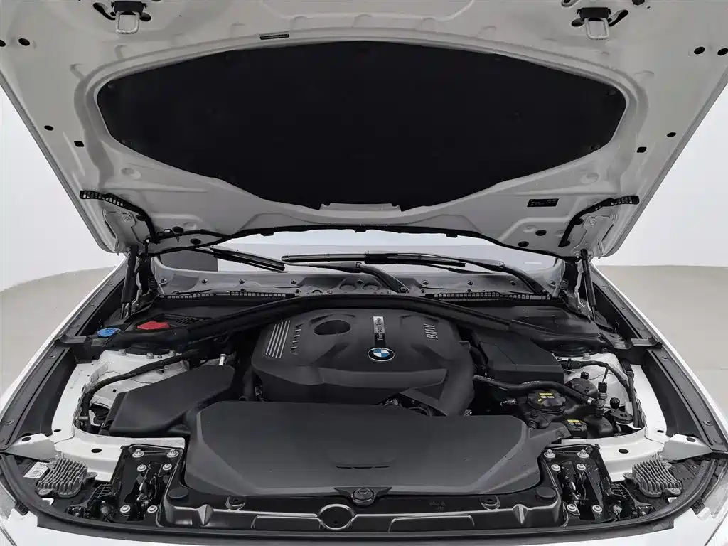 BMW 3 Series GT 2017 — фото 6