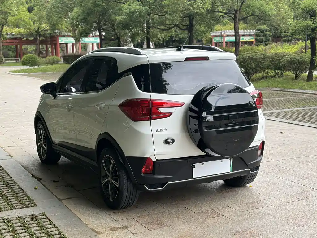 BYD Yuan New Energy 2019