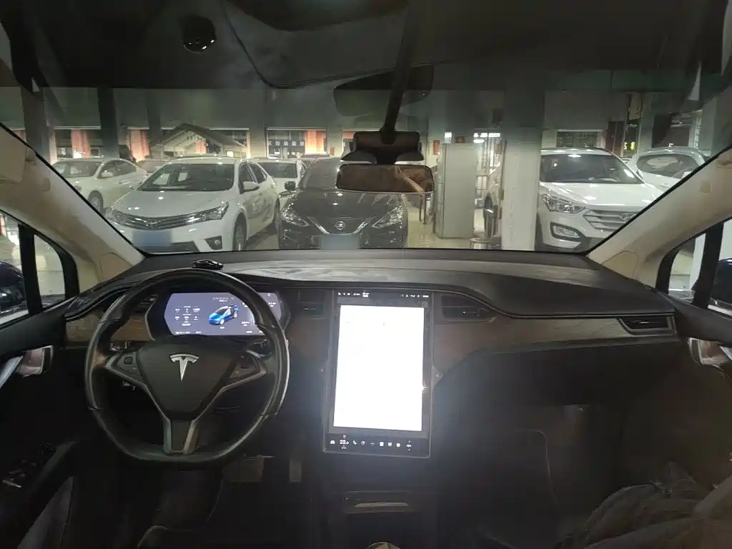 Tesla Model X 2019