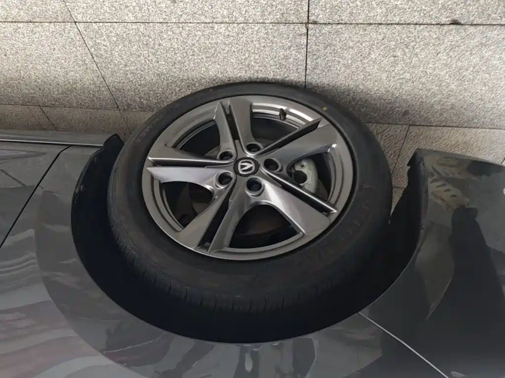 Changan Ruicheng PLUS 2023 — фото 23