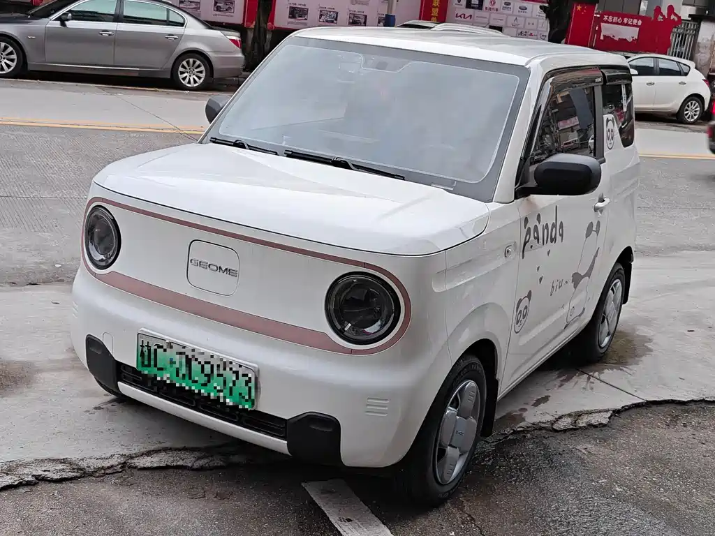Galaxy Panda 2024