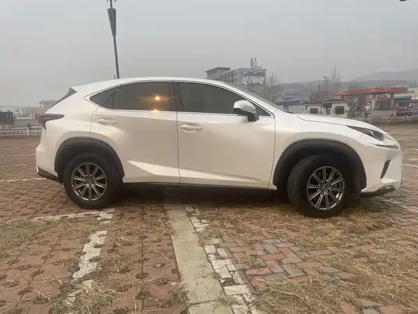 Lexus NX 2018