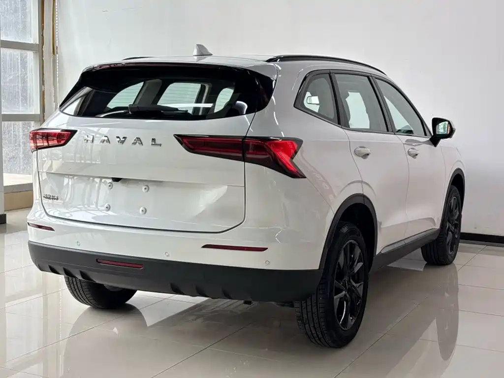Haval H6 2024 — фото 12