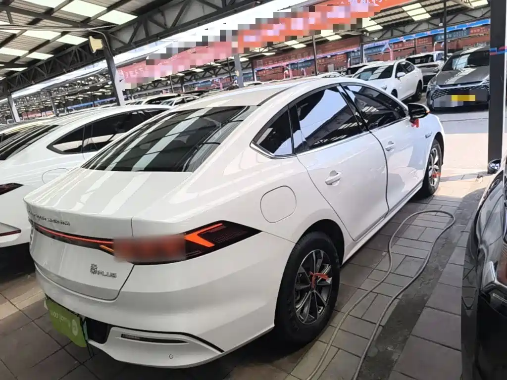 BYD Qin PLUS 2024