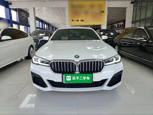 BMW 5 Series New Energy 2022