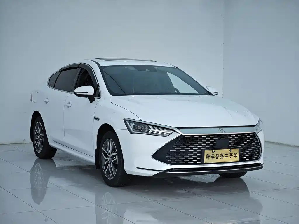 BYD Qin PLUS 2023 — фото 2