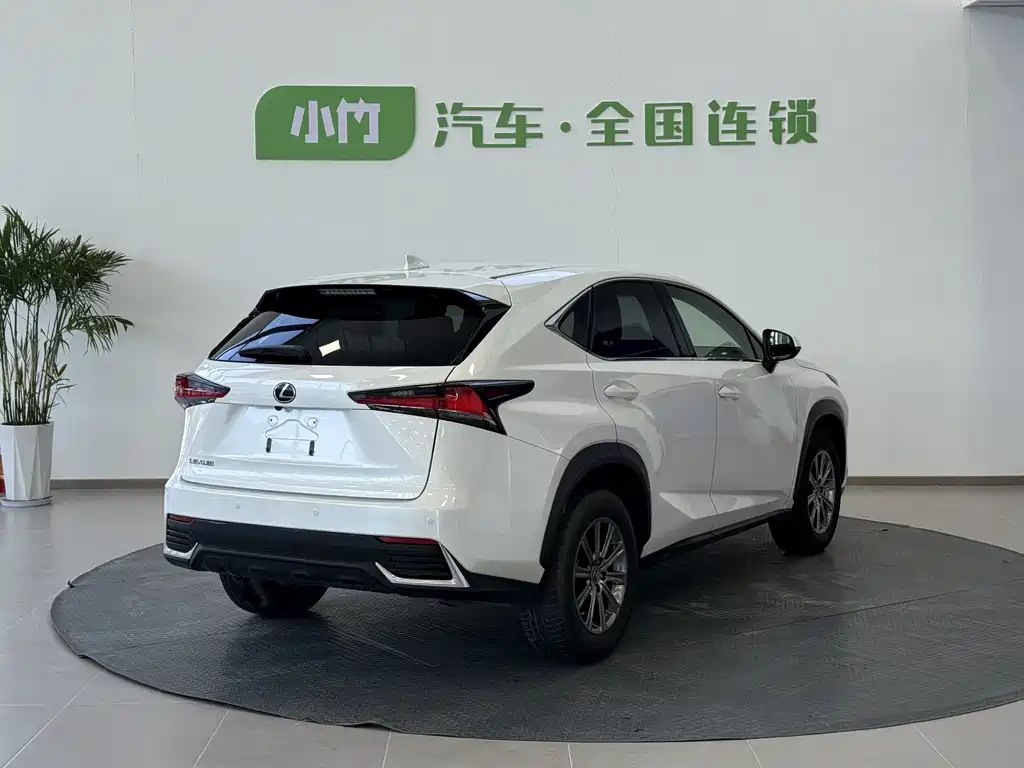 Lexus NX 2020 — фото 4