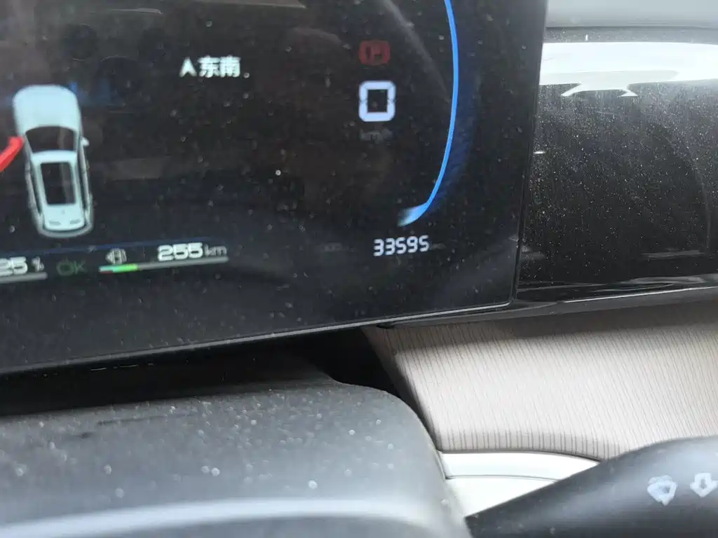 BYD Pro New Energy 2024