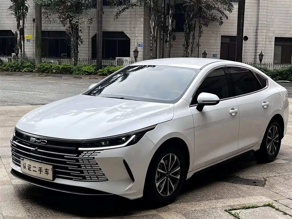 BYD Destroyer 05 2024 — фото 1