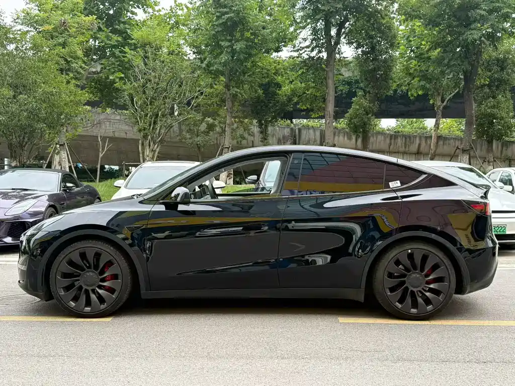 Tesla Model Y 2023 — фото 2