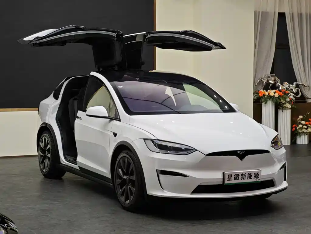 Tesla Model X 2024 — фото 3