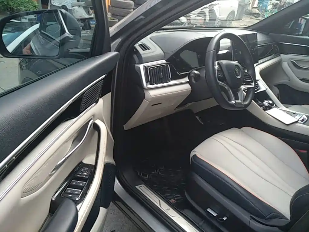 BYD Song PLUS New Energy 2022 — фото 16