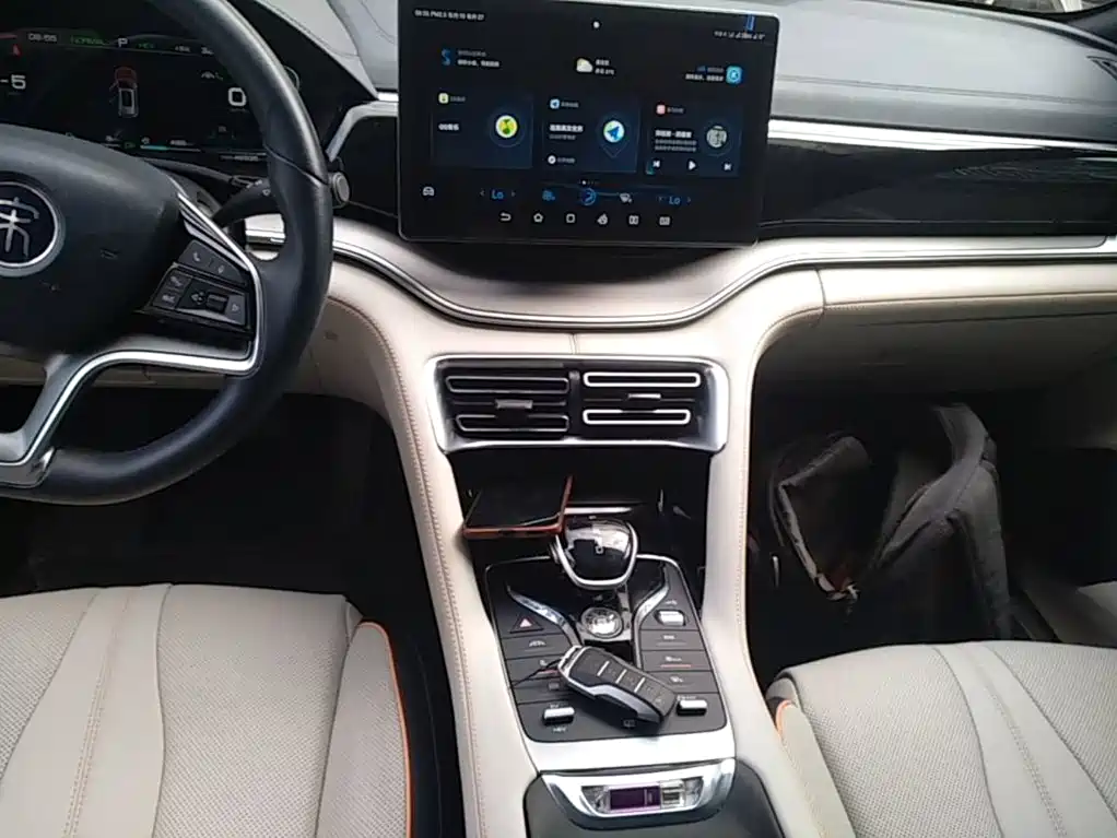 BYD Song PLUS New Energy 2022 — фото 14