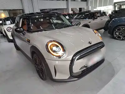 MINI MINI 2021