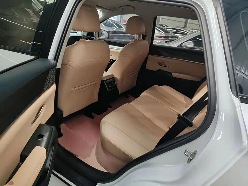 BYD Song Pro New Energy 2025 — фото 17
