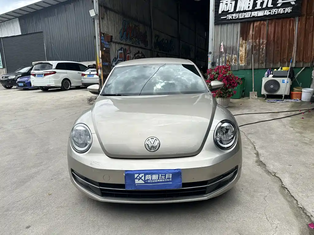 Volkswagen Beetle 2014