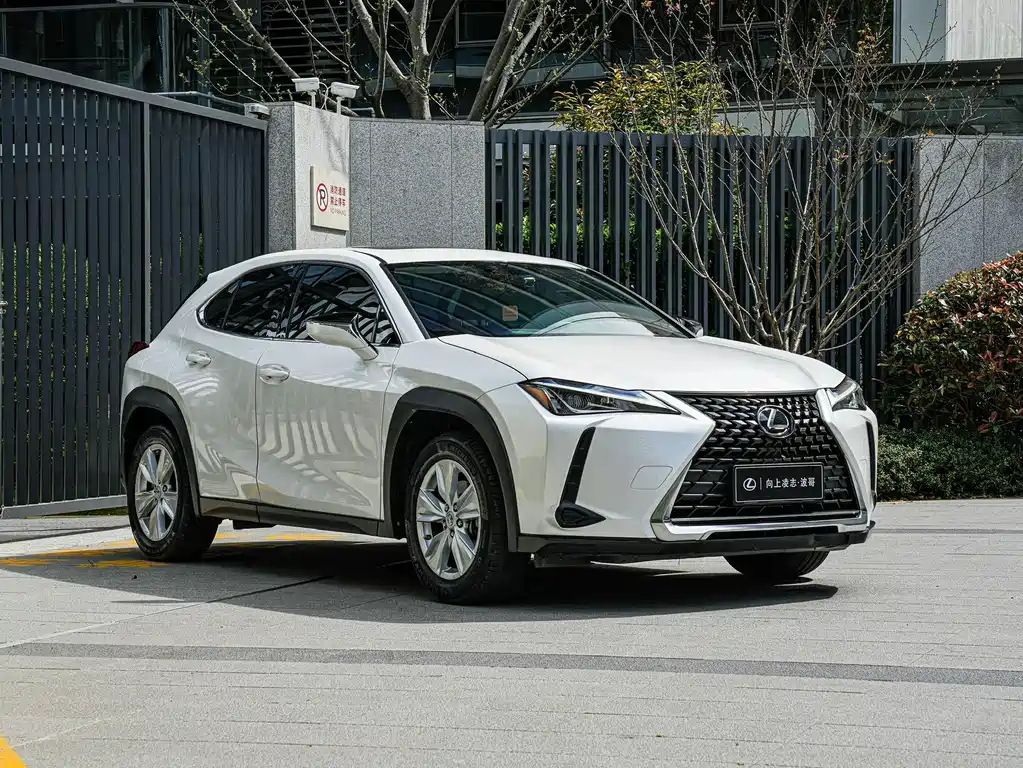 Lexus UX 2021 — фото 3