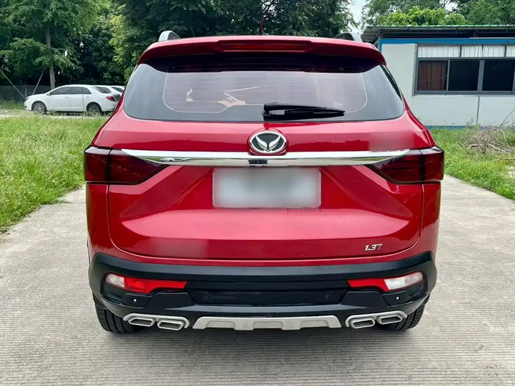 Huasu Huansu S5 2019 — фото 8