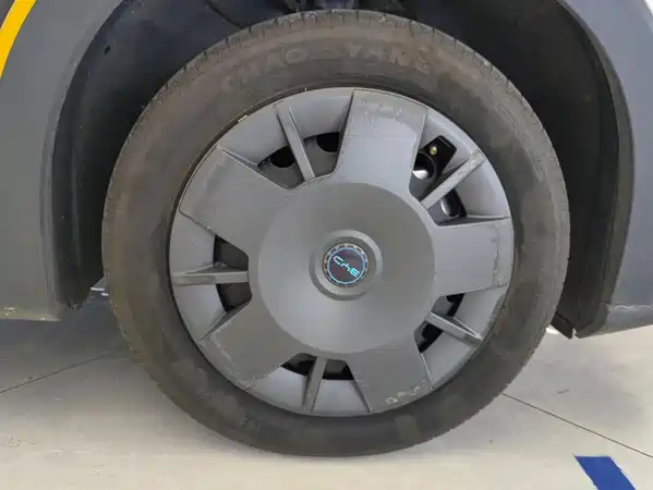 BYD Seagull 2025