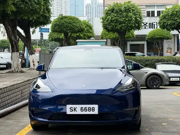Tesla Model Y 2021