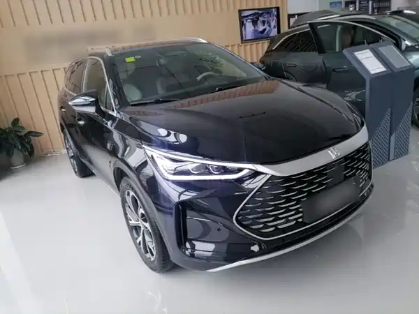 BYD Tang New Energy 2025