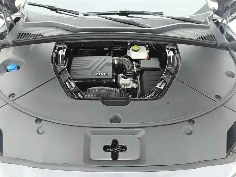 BYD PLUS New Energy 2024 — фото 10