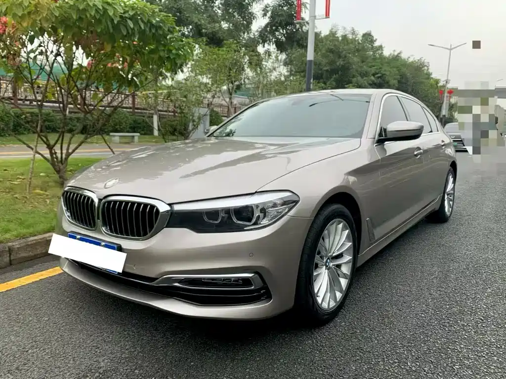 BMW 5 Series 2019 — фото 1