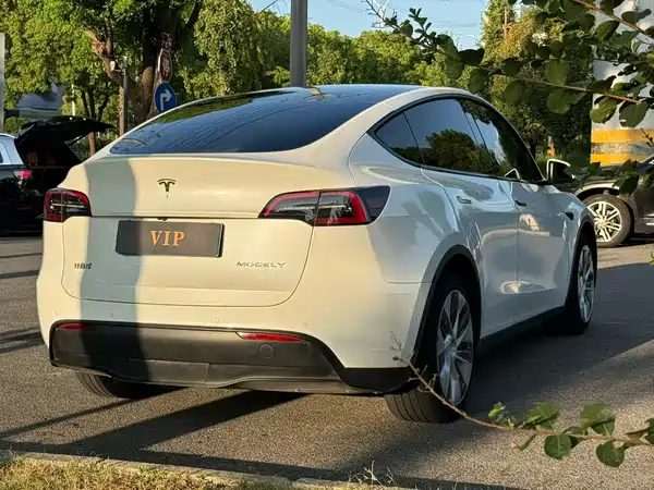 Tesla Model Y 2021
