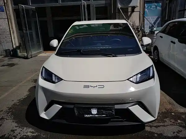 BYD Seagull 2024