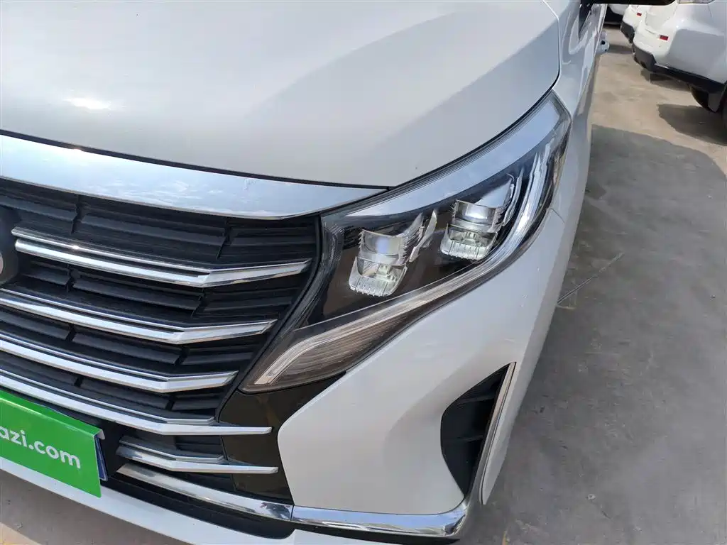 GAC Motor Trumpchi M8 2024 — фото 18