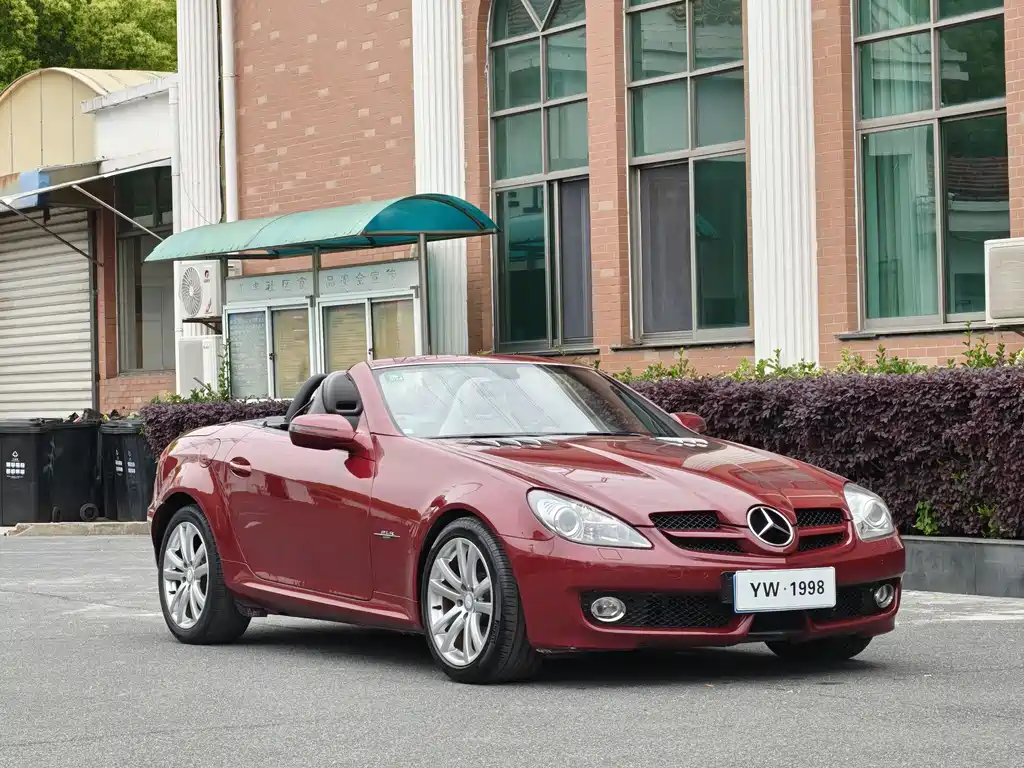 Mercedes-Benz SLK-Class 2010 — фото 6
