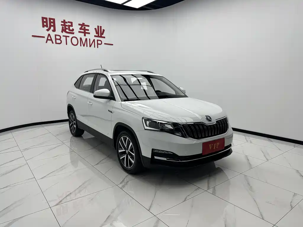Skoda Kamiq 2024 — фото 3