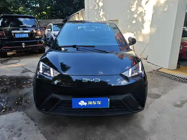 BYD Seagull 2024