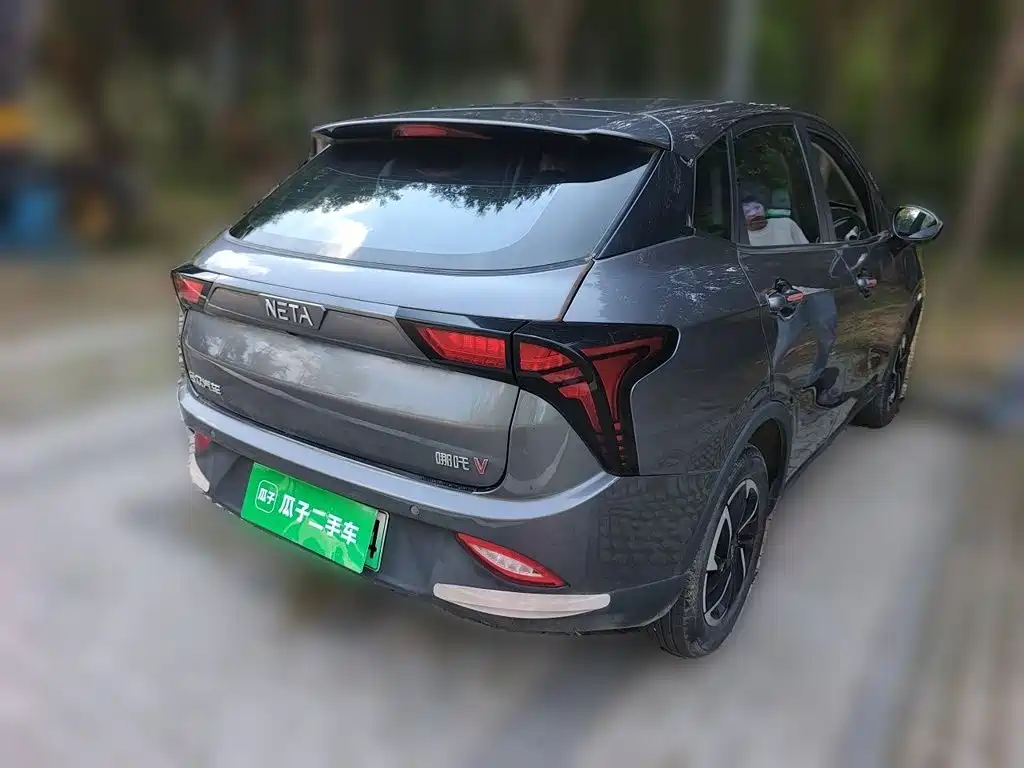 Neta V 2021
