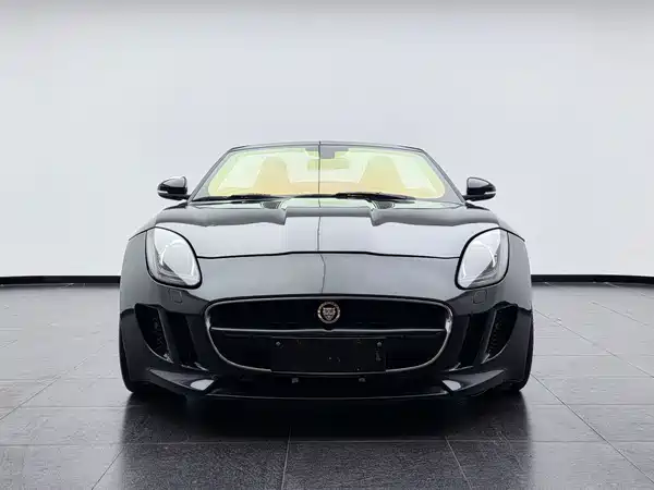Jaguar F-TYPE 2013