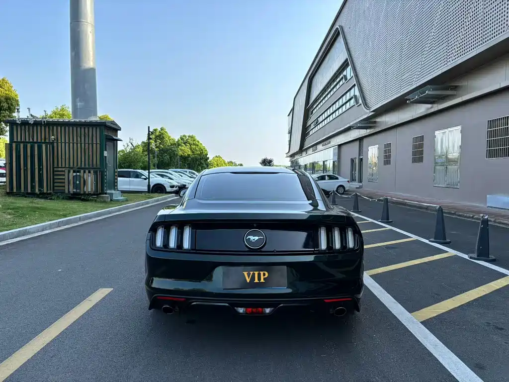 Ford Mustang 2015 — фото 8
