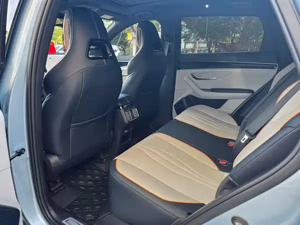 BYD Song PLUS New Energy 2023