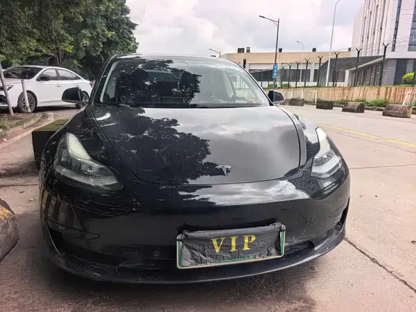 Tesla Model 3 2020