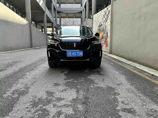 Wey VV6 2019