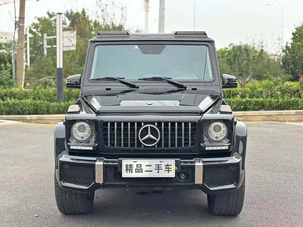 Mercedes-Benz G-Class 2015 — фото 2