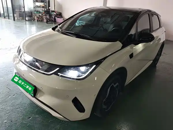 BYD Dolphin 2025