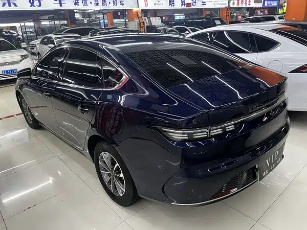BYD Destroyer 05 2024